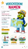 Vorschau - Bildkarten - Was ist der Musikantenknochen? - QUAPPIZ Kindernews - Seite 3