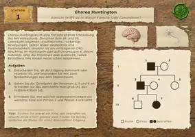 Vorschau - Stationenlernen - Genetik: Stammbaumanalyse als Lerntheke, 28 Stationen (Biologie, Oberstufe) - Seite 2