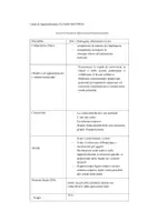 anteprima - Materiale di supporto/inclusione - La nostra Fantacomunità - Unità di Apprendimento (Classe Seconda) - Pagina 1