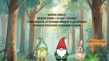 anteprima - Schede informative - Il rapimento della gnoma Agnese: suono GLI - Pagina di copertina