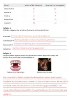 Vorschau - Arbeitsblätter - Das Hundegebiss Arbeitsblatt mit Lösungen - Seite 3