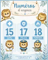 Aperçu - Affichage - Kit urgences et 1er secours Lion - Page 1