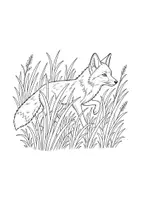 Vorschau - Mal- und Bastelvorlagen - Fuchs Ausmalbilder Fuchsklasse - Seite 2