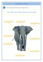 Vorschau - Arbeitsblätter - Tierbeschreibung_der Elefant - Deckblatt