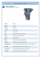 Vorschau - Arbeitsblätter - Tierbeschreibung_der Elefant - Seite 2
