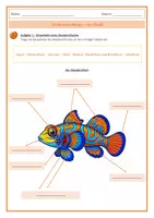 Vorschau - Arbeitsblätter - Tierbeschreibung_der Fisch - Deckblatt