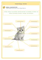 Vorschau - Arbeitsblätter - Tierbeschreibung_die Katze - Deckblatt