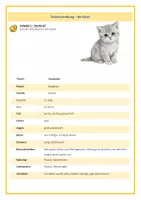 Vorschau - Arbeitsblätter - Tierbeschreibung_die Katze - Seite 2