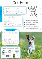 Vorschau - Arbeitsblätter - Hund Arbeitsblätter - Seite 1