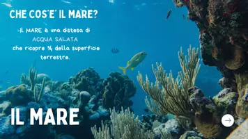 anteprima - Materiale di supporto/inclusione - Il mare - Pagina di copertina
