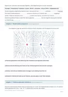 Vorschau - Arbeitsblätter - Arbeitsblatt Physik Klasse 12 - Elektrische Felder - Seite 1