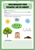 Vorschau - Stundenentwürfe - Fotosynthese und Stofftransport | Unterrichtsreihe "Ökosystem Wald", Biologie Klasse 7/8 | Best of Eduki - Seite 1