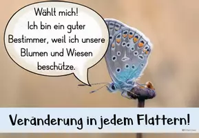 Vorschau - Poster - Bestimmer sein - Tierische Wahlplakate / Klassensprecherwahl - Seite 3