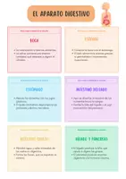 Vista previa - Hojas de trabajo - 🧡Mini-lapbook del aparato digestivo🧡 - Portada