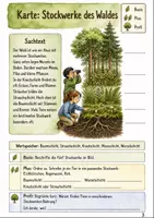 Vorschau - Stundenentwürfe - Wald Klasse 3 -4 Materialpaket - Seite 3