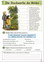 Vorschau - Arbeitsblätter - Lebensraum Wald Klasse 3 -4 Entdecken und Schützen - Seite 2