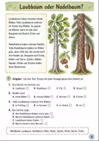 Vorschau - Arbeitsblätter - Wald: Lese-Mal-Heft für den Sachunterricht Klasse 3-4 - Seite 3