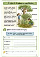 Vorschau - Arbeitsblätter - Lebensraum Wald Klasse 3 -4 Lesespaziergang Stationen - Seite 2