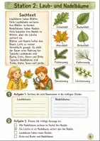 Vorschau - Arbeitsblätter - Lebensraum Wald Klasse 3 -4 Lesespaziergang Stationen - Seite 3