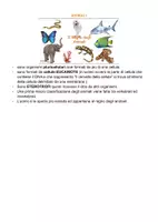 anteprima - Compiti in classe/Test - CLASSIFICAZIONE DEGLI ESSERE VIVENTI - Pagina 2