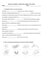 anteprima - Compiti in classe/Test - CLASSIFICAZIONE DEGLI ESSERE VIVENTI - Pagina 3