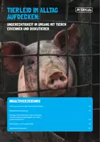 Vorschau - Stundenentwürfe - Kostenlos: Stundenentwurf "Tierleid im Alltag aufdecken" - Deckblatt