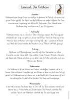 Vorschau - Unterrichtsreihen - Wiesentiere / Tiere der Wiese: Plakat erstellen (2./3./4. Klasse) - Seite 3