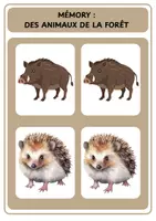 Aperçu - Jeux - Mémory - Les animaux de la forêt - Page 2