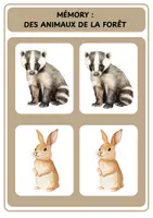 Aperçu - Jeux - Mémory - Les animaux de la forêt - Page 3