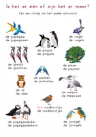 Voorbeeld - Werkboek in vogelvlucht - Pagina 1