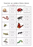 Voorbeeld - Werkboek in vogelvlucht - Pagina 2