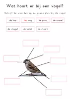 Voorbeeld - Werkboek in vogelvlucht - Pagina 3