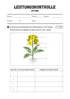 Vorschau - Test - Botanik - Leistungskontrolle mit Lösungen für Klasse 5 - Seite 1