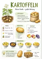 Vorschau - Arbeitsblätter - Lernposter + Arbeitsblätter zum Thema "Kartoffel" + Lösung & MP3 + Mindmap + Infografik - Deckblatt