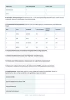 Vorschau - Arbeitsblätter - Arbeitsblatt Chemie Klasse 7 - Stoffe und ihre Eigenschaften - Seite 2