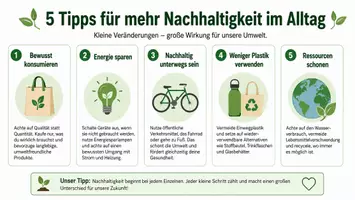 Vorschau - Arbeitsblätter - Lernposter + AB mit Fragen zum Thema "Nachhaltigkeit" + Lösungsblatt + Mindmap + Infografiken - Seite 2