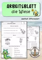 Vorschau - Arbeitsblätter - Wiesentiere Materialpaket - Seite 1