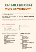 Vista previa - Juegos / Gamificación - Irakurketa-idazketarako ohola / Tablero de lectoescritura y sus cartas - página 1