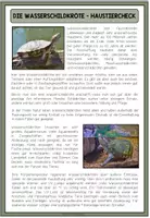Vorschau - Arbeitsblätter - DIE WASSERSCHILDKRÖTE - Haustiercheck - Seite 1