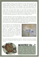 Vorschau - Arbeitsblätter - DIE WASSERSCHILDKRÖTE - Haustiercheck - Seite 2