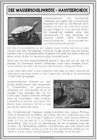 Vorschau - Arbeitsblätter - DIE WASSERSCHILDKRÖTE - Haustiercheck - Seite 3