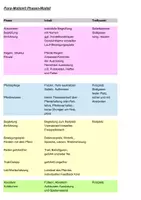 Vorschau - Stundenentwürfe - Phasenmodell Psychomotorik Pferd - Deckblatt