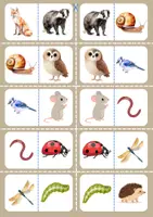Aperçu - Jeux - Domino - Des animaux de la forêt - Page 1