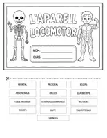 Vista previa - Hojas de trabajo - flipbook aparell locomotor cicle mitjà català - Portada