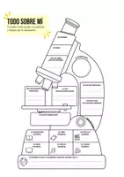 Vista previa - Hojas de trabajo - PACK INICIO DE CURSO 1ºESO BIOLOGÍA Y GEOLOGÍA - página 3