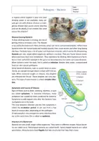 Vorschau - Arbeitsblätter - Health: Bacteria as Pathogens (with solutions) - Seite 1