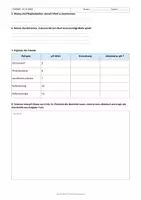 Vorschau - Arbeitsblätter - Materialpaket - Chemie Klasse 10 - Arbeitsblätter - Seite 2