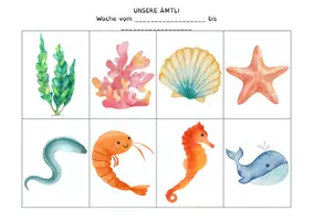 Vorschau - Präsentationen/Tafelbilder - Ämtli-Plan Unterwasserwelt - Seite 3