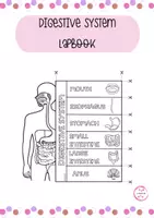 Vista previa - Hojas de trabajo - DIGESTIVE SYSTEM LAPBOOK - Portada