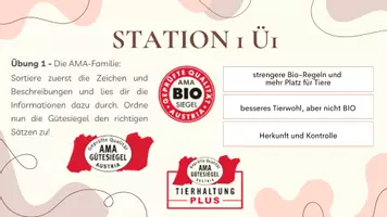 Vorschau - Unterrichtsreihen - Gütesiegel im Check! - Die Präsentation zum Stationenbetrieb - Seite 2